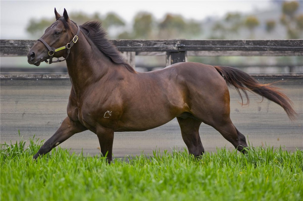 Major coup for WA Breeders